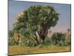 Giclee Print