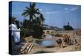 Stretched Canvas Print
