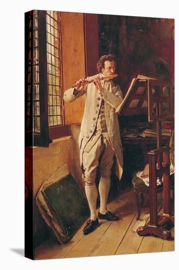 Stretched Canvas Print, , large