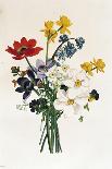 Bouquet of Rose, Narcissus and Hyacinth-Jean Louis Prevost-Giclee Print