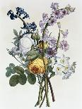 Bouquet of Mixed Flowers-Jean Louis Prevost-Giclee Print
