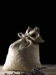 Coffee Beans in a Jute Sack-Jean-Michel Georges-Framed Premier Image Canvas