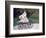 Jean Monet on a Mechanical Horse, 1872-Claude Monet-Framed Giclee Print