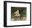 Jean Monet on his Hobby Horse, 1872-Claude Monet-Framed Art Print