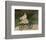 Jean Monet on his Hobby Horse, 1872-Claude Monet-Framed Art Print