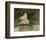 Jean Monet on his Hobby Horse, 1872-Claude Monet-Framed Art Print