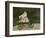 Jean Monet on His Hobby Horse, 1872-Claude Monet-Framed Giclee Print