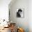 Jean-Paul Belmondo-null-Framed Stretched Canvas displayed on a wall