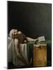 Jean Paul Marat, Politician, Dead in His Bathtub, Assassinated by Charlotte Corday, 1792-Jacques-Louis David-Mounted Giclee Print