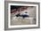 Jean-Pierre Beltoise Driving a Matra, Belgian Grand Prix, Spa-Francorchamps, 1968-null-Framed Photographic Print