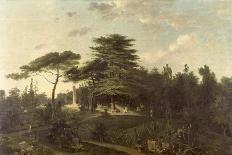 The Cedar of Lebanon in the Jardin des Plantes-Jean Pierre Louis L.. Houel-Giclee Print