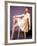 Jean Shrimpton-null-Framed Photographic Print