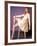 Jean Shrimpton-null-Framed Photographic Print