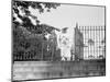 Jeanette Rankin leaving the White House during her first term of office, 1917-Harris & Ewing-Mounted Photographic Print