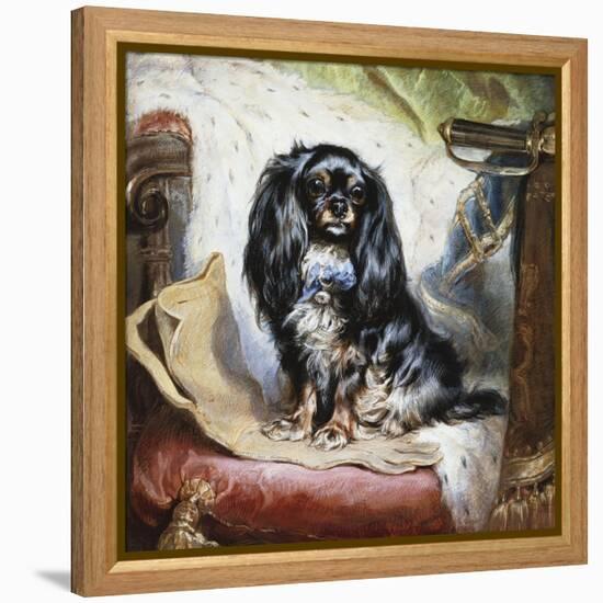 Jeannie, Queen Victoria's Favourite Spaniel-Gourlay Steel-Framed Premier Image Canvas