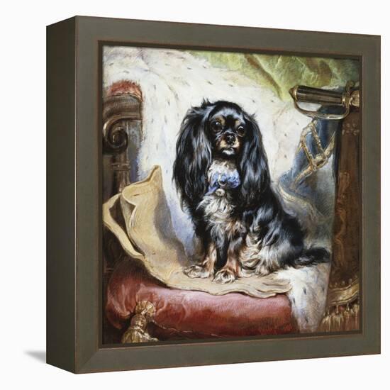 Jeannie, Queen Victoria's Favourite Spaniel-Gourlay Steel-Framed Premier Image Canvas