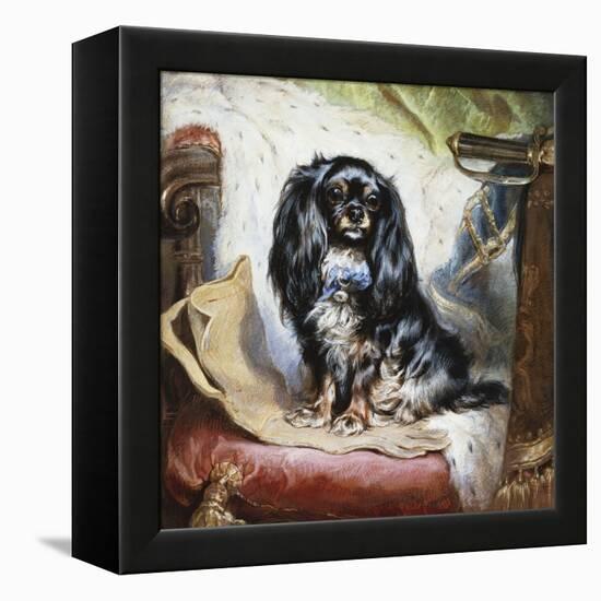 Jeannie, Queen Victoria's Favourite Spaniel-Gourlay Steel-Framed Premier Image Canvas