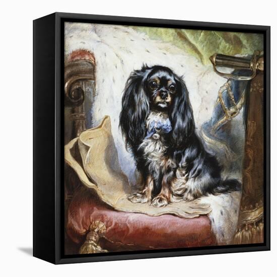 Jeannie, Queen Victoria's Favourite Spaniel-Gourlay Steel-Framed Premier Image Canvas