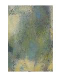 Tropic-Jeannie Sellmer-Stretched Canvas