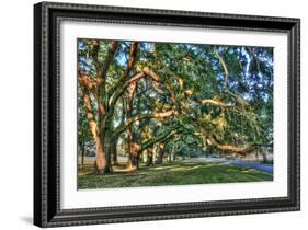 Jeckel Island Treeline-Robert Goldwitz-Framed Photographic Print