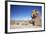 Jeep Driving Through Rocky Landscape on the Altiplano, Potosi Department, Bolivia, South America-Ian Trower-Framed Photographic Print