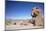 Jeep Driving Through Rocky Landscape on the Altiplano, Potosi Department, Bolivia, South America-Ian Trower-Mounted Photographic Print
