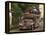 Jeepney Truck with Passengers Crowded on Roof, Coron Town, Busuanga Island, Philippines-Kober Christian-Framed Premier Image Canvas