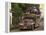 Jeepney Truck with Passengers Crowded on Roof, Coron Town, Busuanga Island, Philippines-Kober Christian-Framed Premier Image Canvas