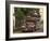 Jeepney Truck with Passengers Crowded on Roof, Coron Town, Busuanga Island, Philippines-Kober Christian-Framed Photographic Print