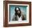 Jeff Bridges, The Big Lebowski (1998)-null-Framed Photo