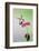 Jeff Davis County, Texas. Black Chinned Hummingbird Feeding at Zinnia-Larry Ditto-Framed Photographic Print