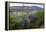 Jeff Davis County, Texas. Davis Mountains and Desert Vegetation-Larry Ditto-Framed Premier Image Canvas