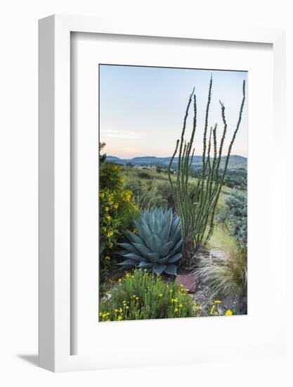 Jeff Davis County, Texas. Davis Mountains and Desert Vegetation-Larry Ditto-Framed Photographic Print