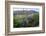 Jeff Davis County, Texas. Davis Mountains and Desert Vegetation-Larry Ditto-Framed Photographic Print