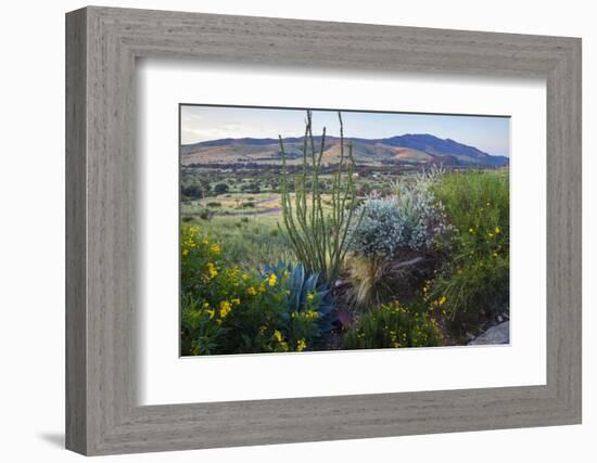 Jeff Davis County, Texas. Davis Mountains and Desert Vegetation-Larry Ditto-Framed Photographic Print