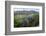 Jeff Davis County, Texas. Davis Mountains and Desert Vegetation-Larry Ditto-Framed Photographic Print