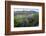 Jeff Davis County, Texas. Davis Mountains and Desert Vegetation-Larry Ditto-Framed Photographic Print