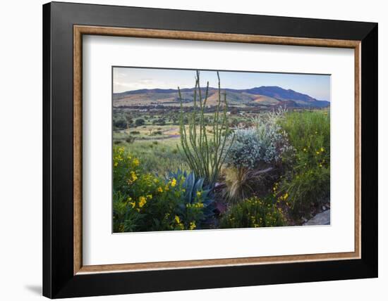 Jeff Davis County, Texas. Davis Mountains and Desert Vegetation-Larry Ditto-Framed Photographic Print