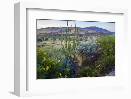 Jeff Davis County, Texas. Davis Mountains and Desert Vegetation-Larry Ditto-Framed Photographic Print