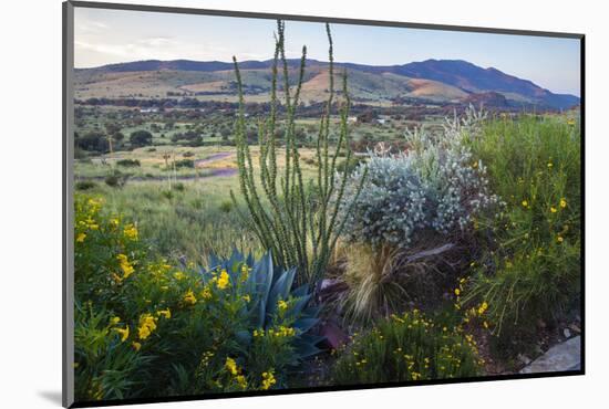 Jeff Davis County, Texas. Davis Mountains and Desert Vegetation-Larry Ditto-Mounted Photographic Print