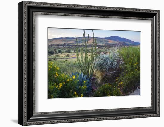 Jeff Davis County, Texas. Davis Mountains and Desert Vegetation-Larry Ditto-Framed Photographic Print