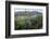 Jeff Davis County, Texas. Davis Mountains and Desert Vegetation-Larry Ditto-Framed Photographic Print