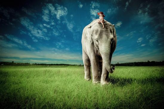 Art Print, , large