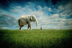 Elephant Follow Me-Jeff Madison-Art Print