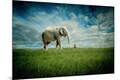 Premium Giclee Print