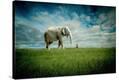 Stretched Canvas Print