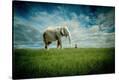 Stretched Canvas Print