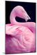 Premium Photographic Print