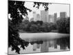 Photographic Print
