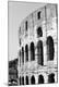 Premium Photographic Print